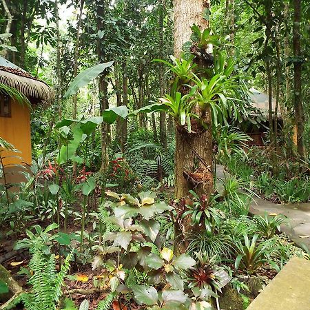 Korrigan Lodge Cahuita Eksteriør bilde