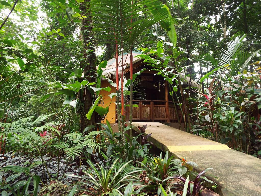 Korrigan Lodge Cahuita Rom bilde