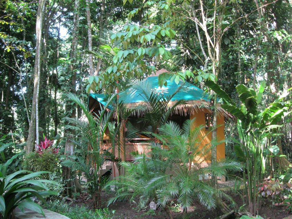 Korrigan Lodge Cahuita Rom bilde
