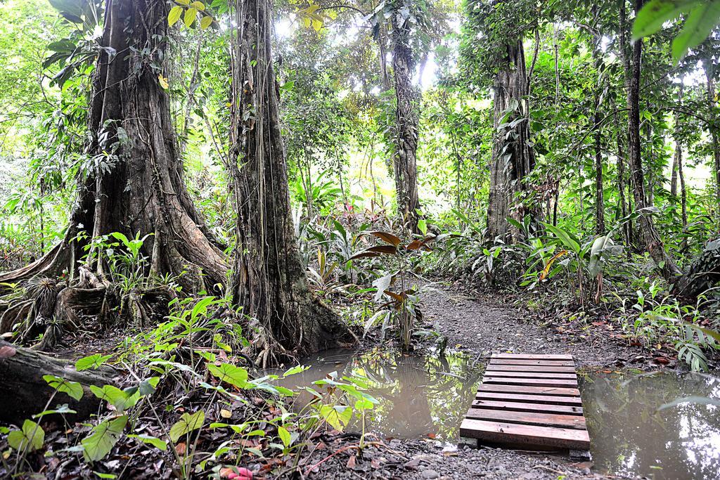 Korrigan Lodge Cahuita Eksteriør bilde