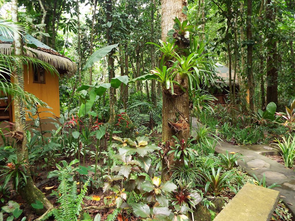 Korrigan Lodge Cahuita Eksteriør bilde