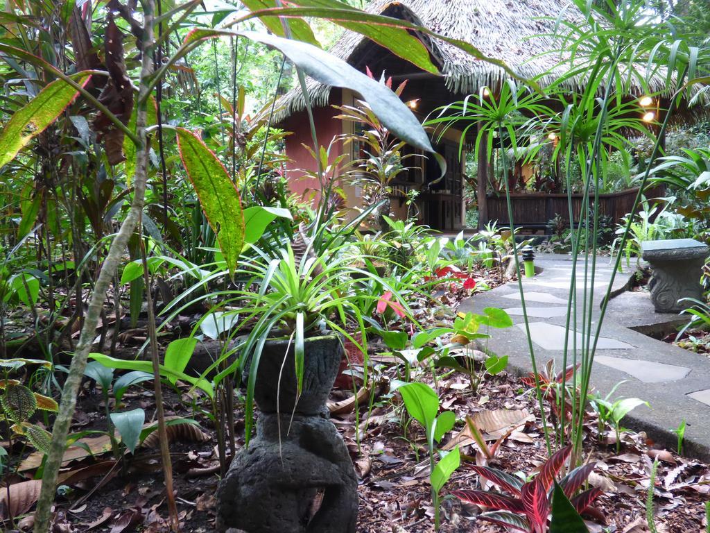 Korrigan Lodge Cahuita Eksteriør bilde