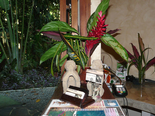 Korrigan Lodge Cahuita Eksteriør bilde