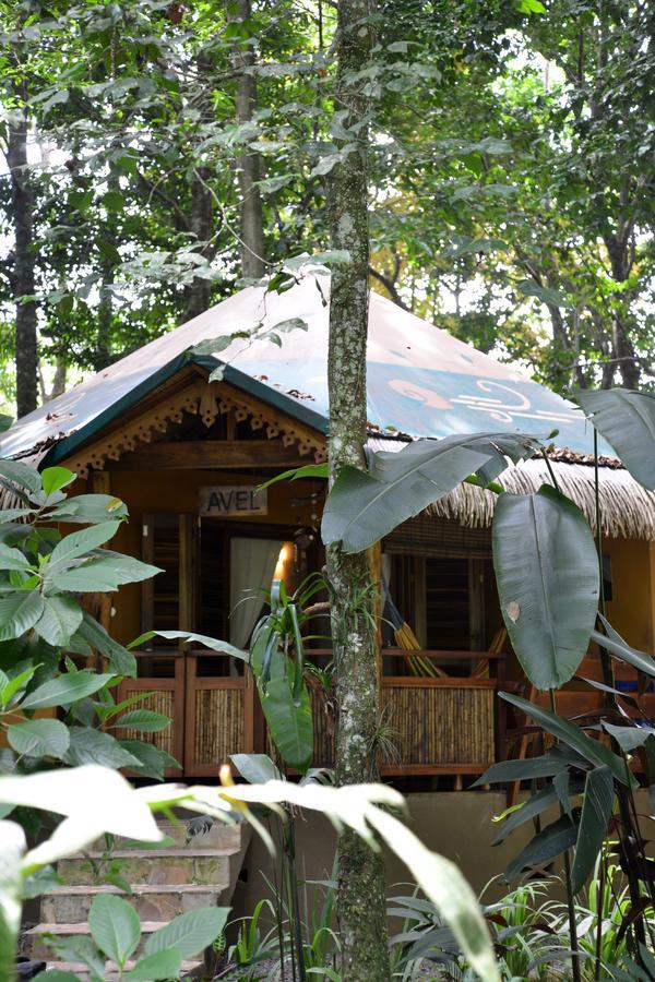 Korrigan Lodge Cahuita Rom bilde